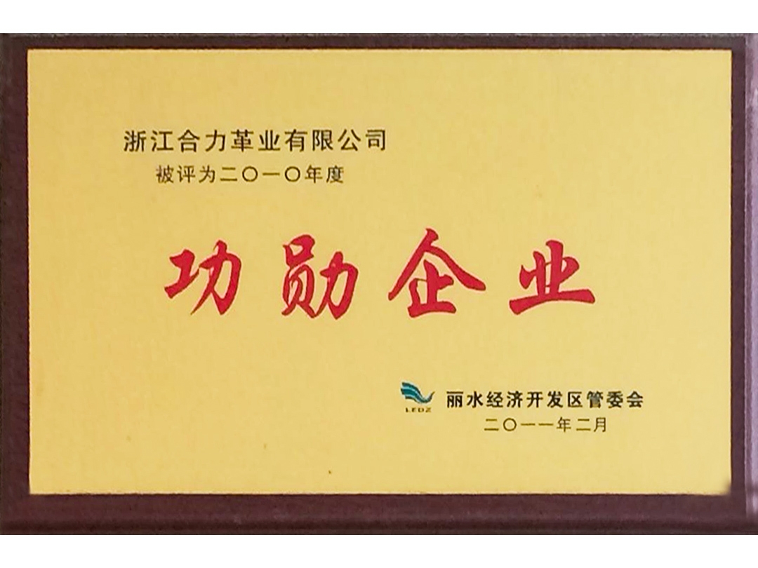 2010年度麗水經(jīng)濟(jì)開(kāi)發(fā)區(qū)功勳企業(yè)
